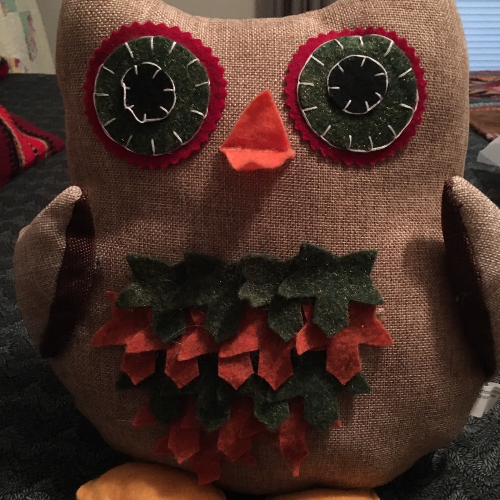 Fall Owl Accent Pillow